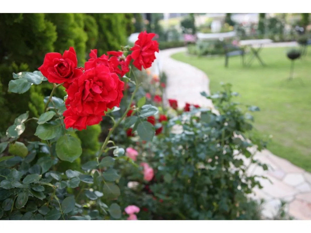 Hotel Sunlife Garden - Vacation Stay 55405V Hiratsuka 0*,  Japan
